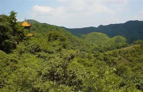 祖坟风水|祖坟风水：探究其对后代子孙的影响与传承